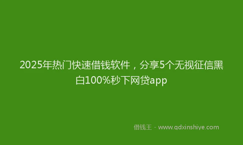 2025年热门快速借钱软件，分享5个无视征信黑白100%秒下网贷app