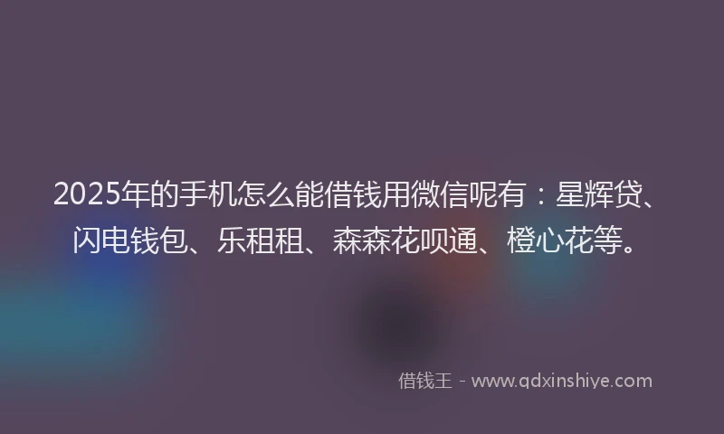 2025年的手机怎么能借钱用微信呢有：星辉贷、闪电钱包、乐租租、森森花呗通、橙心花等。