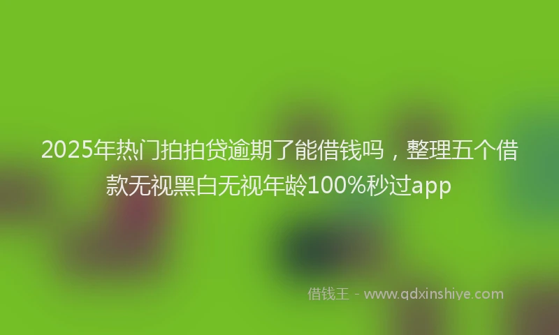 2025年热门拍拍贷逾期了能借钱吗，整理五个借款无视黑白无视年龄100%秒过app