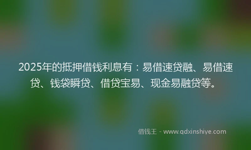 2025年的抵押借钱利息有：易借速贷融、易借速贷、钱袋瞬贷、借贷宝易、现金易融贷等。