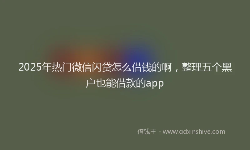2025年热门微信闪贷怎么借钱的啊，整理五个黑户也能借款的app