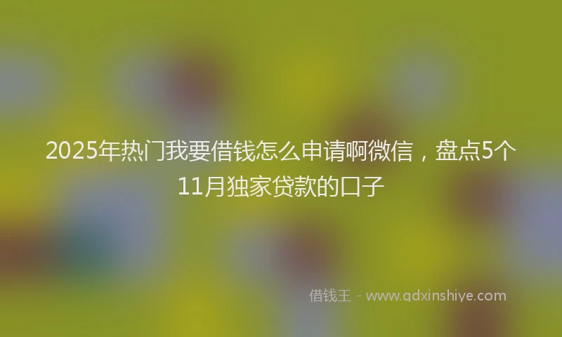 2025年热门我要借钱怎么申请啊微信，盘点5个11月独家贷款的口子