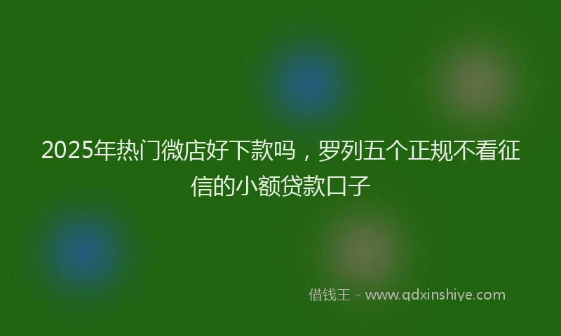 2025年热门微店好下款吗，罗列五个正规不看征信的小额贷款口子