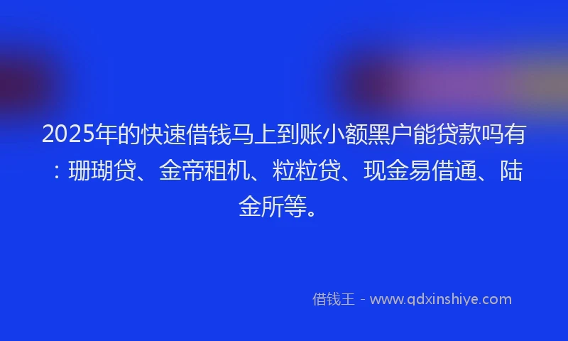 2025年的快速借钱马上到账小额黑户能贷款吗有：珊瑚贷、金帝租机、粒粒贷、现金易借通、陆金所等。
