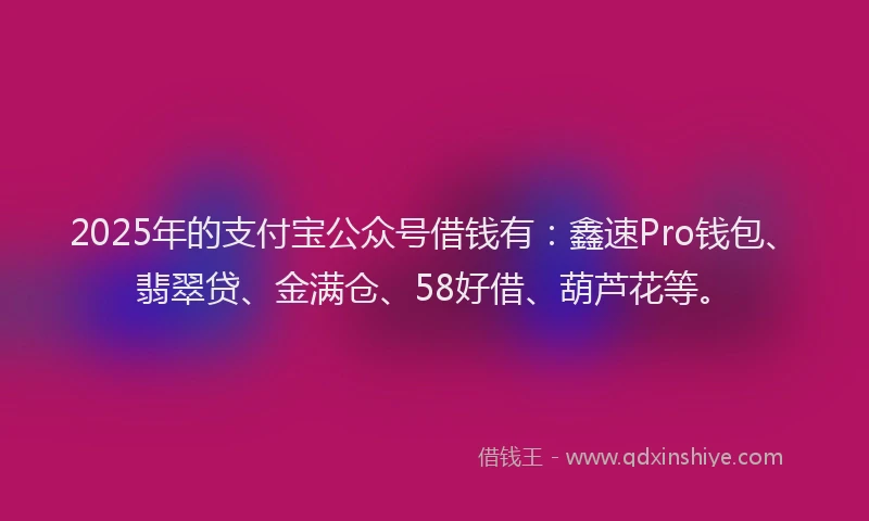 2025年的支付宝公众号借钱有：鑫速Pro钱包、翡翠贷、金满仓、58好借、葫芦花等。