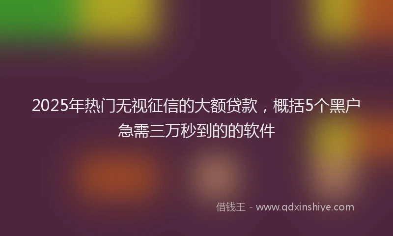 2025年热门无视征信的大额贷款，概括5个黑户急需三万秒到的的软件