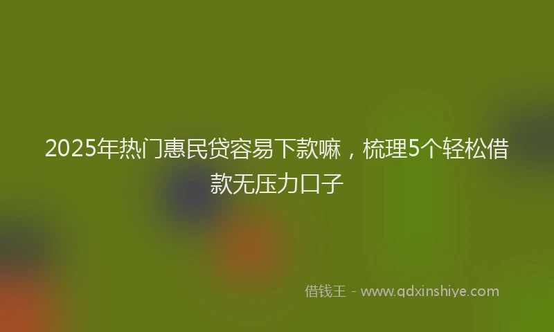 2025年热门惠民贷容易下款嘛，梳理5个轻松借款无压力口子