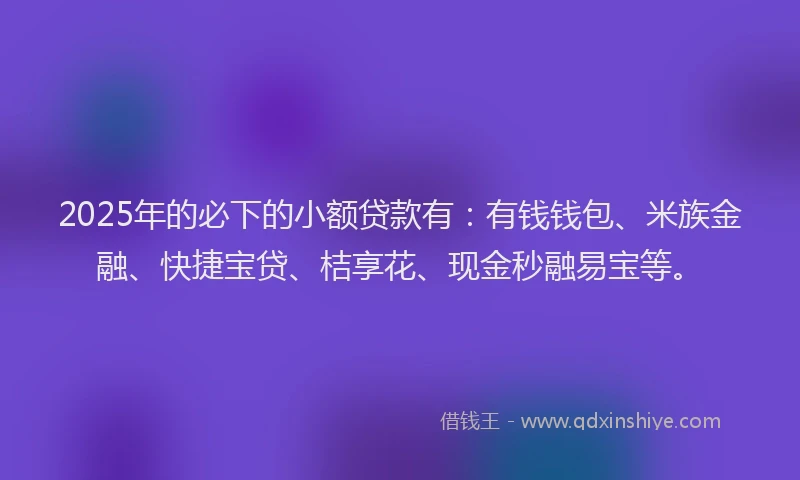 2025年的必下的小额贷款有：有钱钱包、米族金融、快捷宝贷、桔享花、现金秒融易宝等。