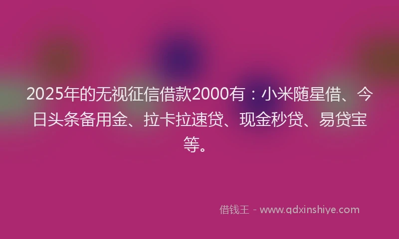 2025年的无视征信借款2000有：小米随星借、今日头条备用金、拉卡拉速贷、现金秒贷、易贷宝等。