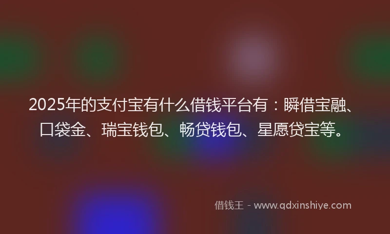 2025年的支付宝有什么借钱平台有：瞬借宝融、口袋金、瑞宝钱包、畅贷钱包、星愿贷宝等。