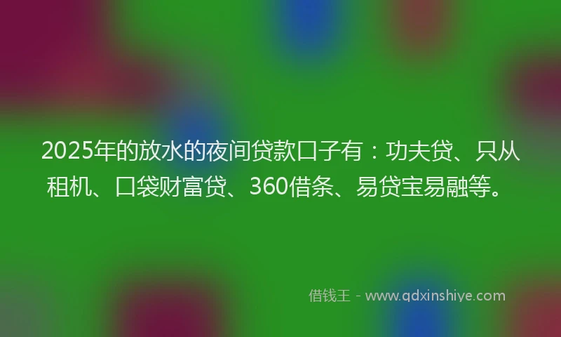 2025年的放水的夜间贷款口子有：功夫贷、只从租机、口袋财富贷、360借条、易贷宝易融等。