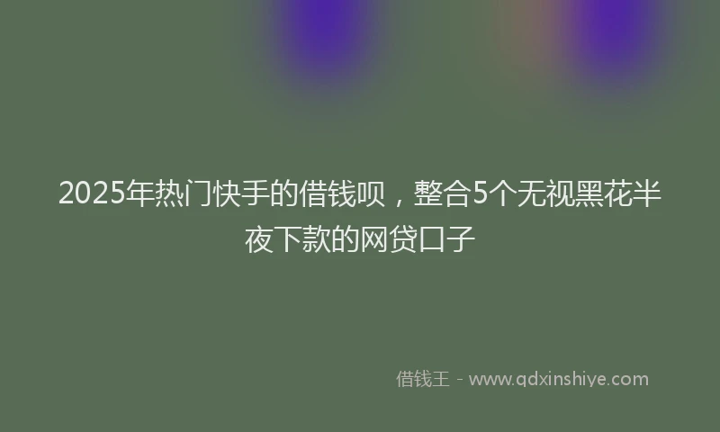 2025年热门快手的借钱呗，整合5个无视黑花半夜下款的网贷口子