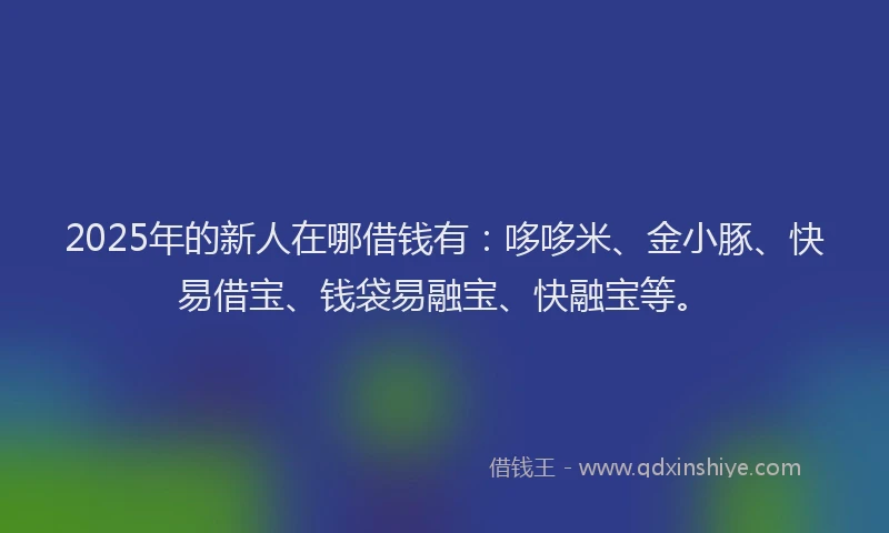 2025年的新人在哪借钱有：哆哆米、金小豚、快易借宝、钱袋易融宝、快融宝等。