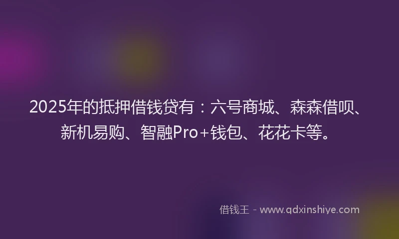 2025年的抵押借钱贷有：六号商城、森森借呗、新机易购、智融Pro+钱包、花花卡等。