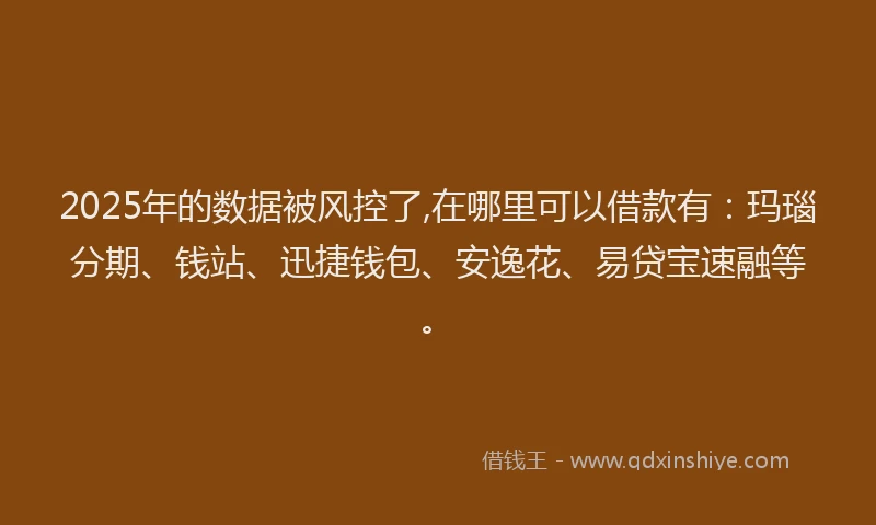 2025年的数据被风控了,在哪里可以借款有：玛瑙分期、钱站、迅捷钱包、安逸花、易贷宝速融等。