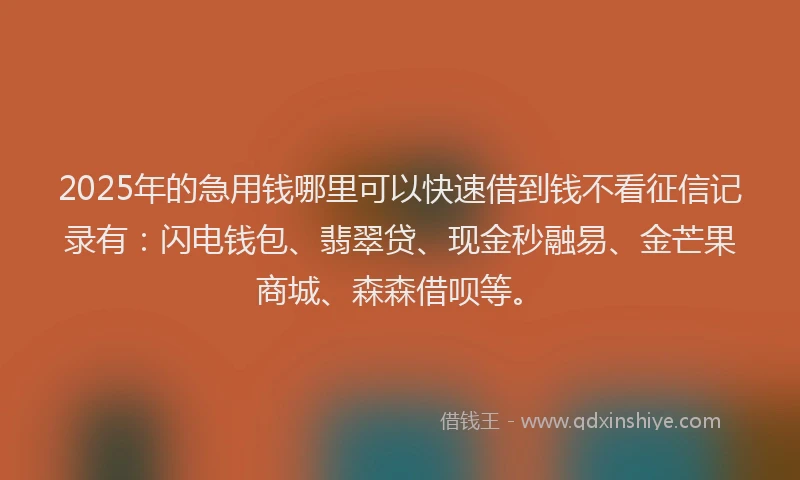 2025年的急用钱哪里可以快速借到钱不看征信记录有：闪电钱包、翡翠贷、现金秒融易、金芒果商城、森森借呗等。