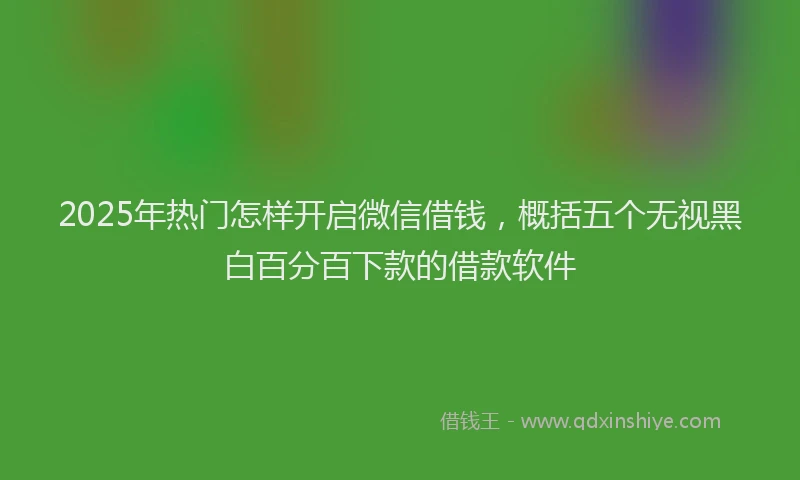 2025年热门怎样开启微信借钱，概括五个无视黑白百分百下款的借款软件