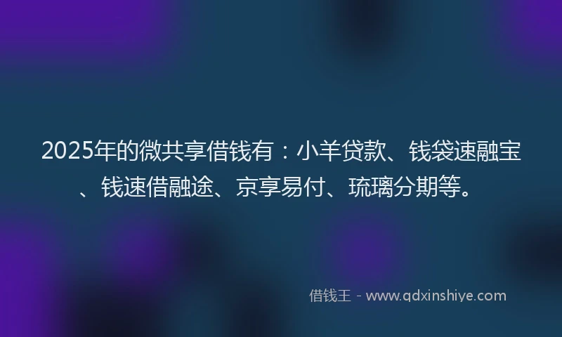 2025年的微共享借钱有：小羊贷款、钱袋速融宝、钱速借融途、京享易付、琉璃分期等。