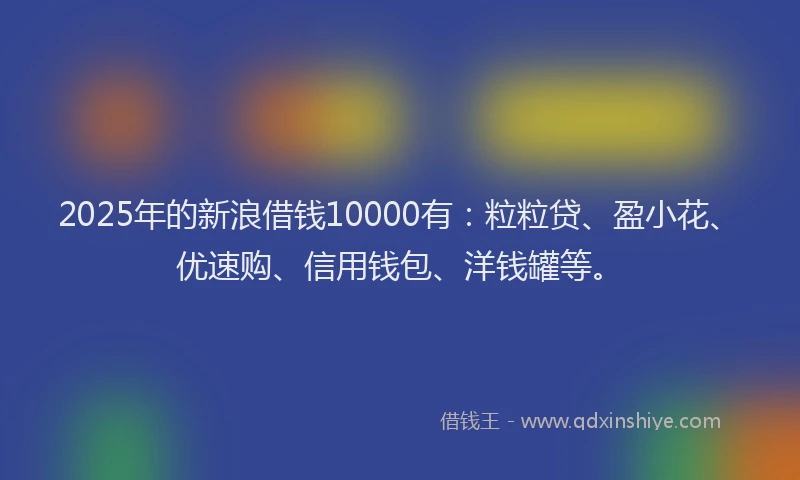 2025年的新浪借钱10000有：粒粒贷、盈小花、优速购、信用钱包、洋钱罐等。