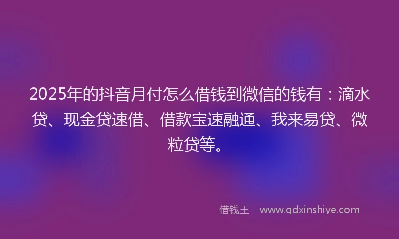 2025年的抖音月付怎么借钱到微信的钱有：滴水贷、现金贷速借、借款宝速融通、我来易贷、微粒贷等。