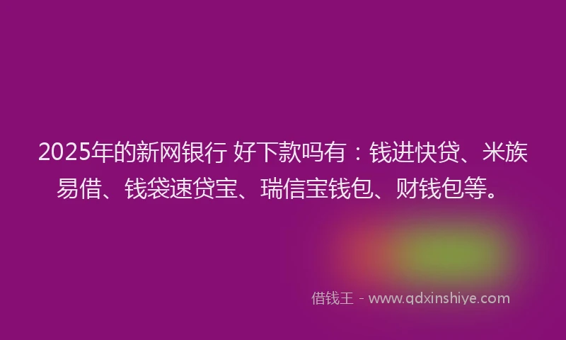 2025年的新网银行 好下款吗有：钱进快贷、米族易借、钱袋速贷宝、瑞信宝钱包、财钱包等。
