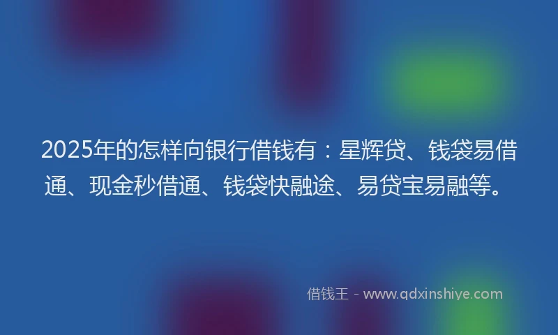 2025年的怎样向银行借钱有：星辉贷、钱袋易借通、现金秒借通、钱袋快融途、易贷宝易融等。