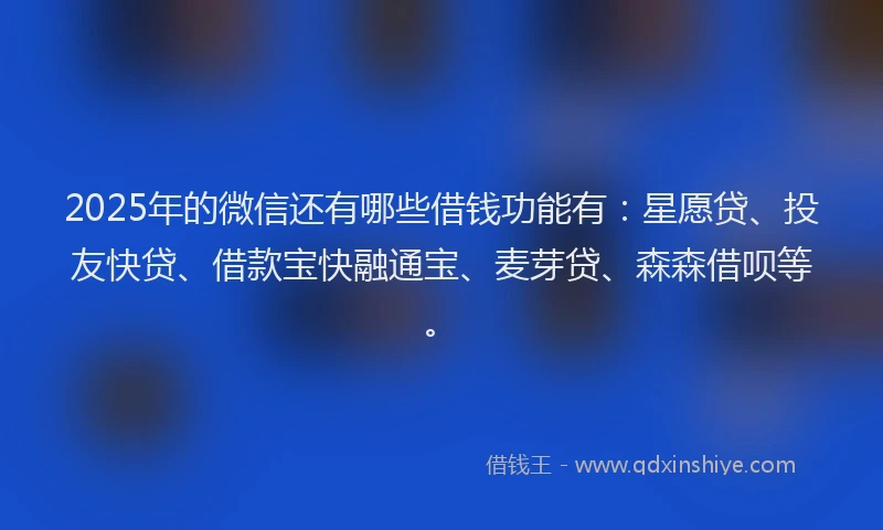 2025年的微信还有哪些借钱功能有：星愿贷、投友快贷、借款宝快融通宝、麦芽贷、森森借呗等。