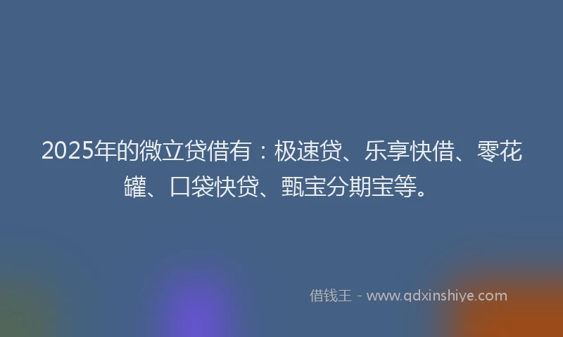 2025年的微立贷借有：极速贷、乐享快借、零花罐、口袋快贷、甄宝分期宝等。
