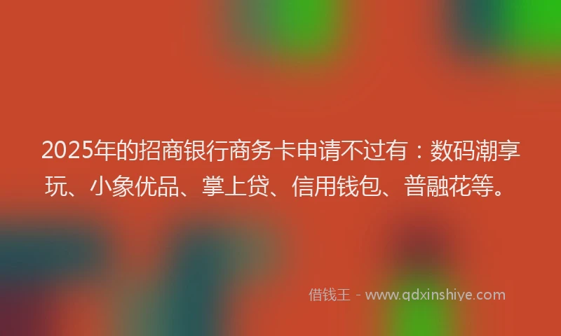 2025年的招商银行商务卡申请不过有：数码潮享玩、小象优品、掌上贷、信用钱包、普融花等。