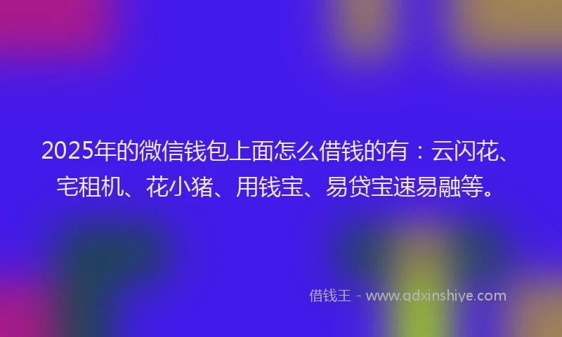 2025年的微信钱包上面怎么借钱的有：云闪花、宅租机、花小猪、用钱宝、易贷宝速易融等。