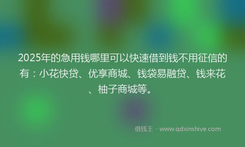 2025年的急用钱哪里可以快速借到钱不用征信的有：小花快贷、优享商城、钱袋易融贷、钱来花、柚子商城等。