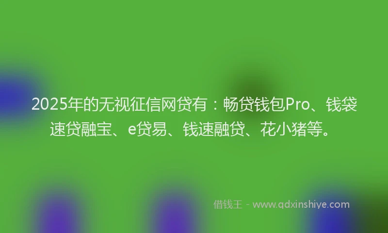 2025年的无视征信网贷有：畅贷钱包Pro、钱袋速贷融宝、e贷易、钱速融贷、花小猪等。