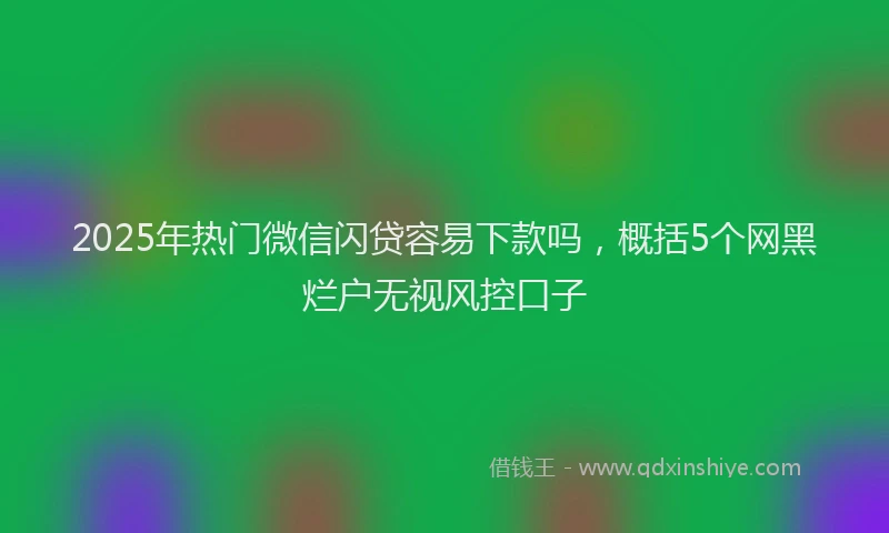 2025年热门微信闪贷容易下款吗，概括5个网黑烂户无视风控口子