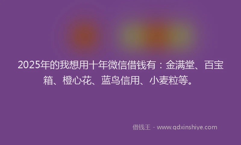 2025年的我想用十年微信借钱有：金满堂、百宝箱、橙心花、蓝鸟信用、小麦粒等。