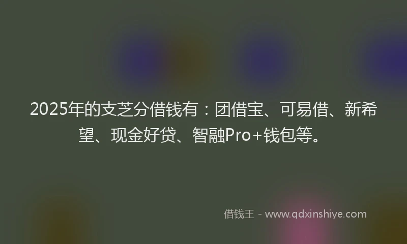 2025年的支芝分借钱有：团借宝、可易借、新希望、现金好贷、智融Pro+钱包等。