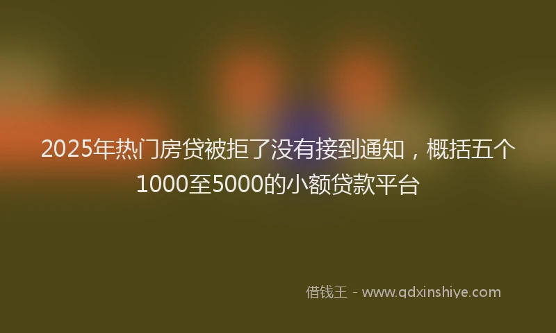 2025年热门房贷被拒了没有接到通知，概括五个1000至5000的小额贷款平台
