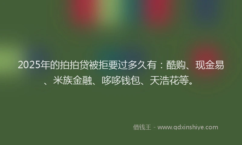2025年的拍拍贷被拒要过多久有：酷购、现金易、米族金融、哆哆钱包、天浩花等。