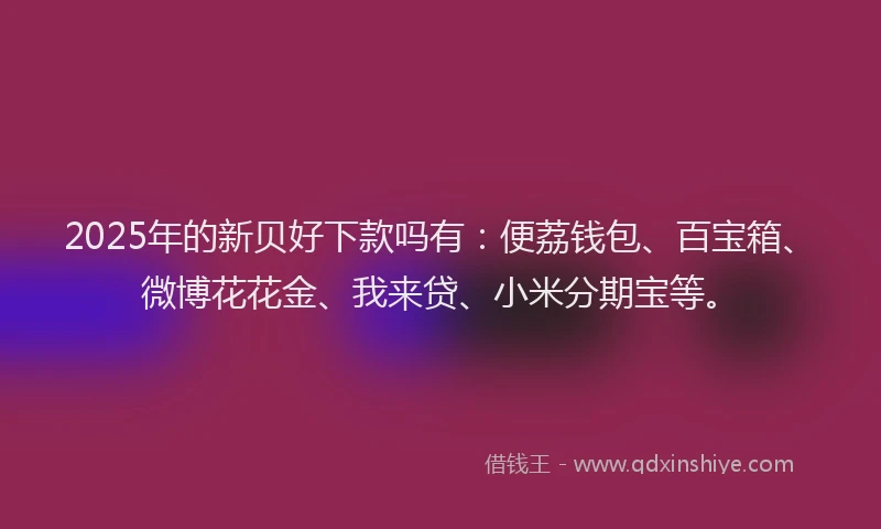 2025年的新贝好下款吗有：便荔钱包、百宝箱、微博花花金、我来贷、小米分期宝等。
