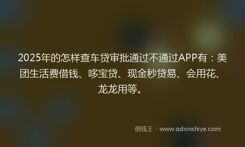 2025年的怎样查车贷审批通过不通过APP有：美团生活费借钱、哆宝贷、现金秒贷易、会用花、龙龙用等。