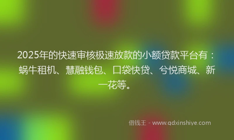2025年的快速审核极速放款的小额贷款平台有：蜗牛租机、慧融钱包、口袋快贷、兮悦商城、新一花等。