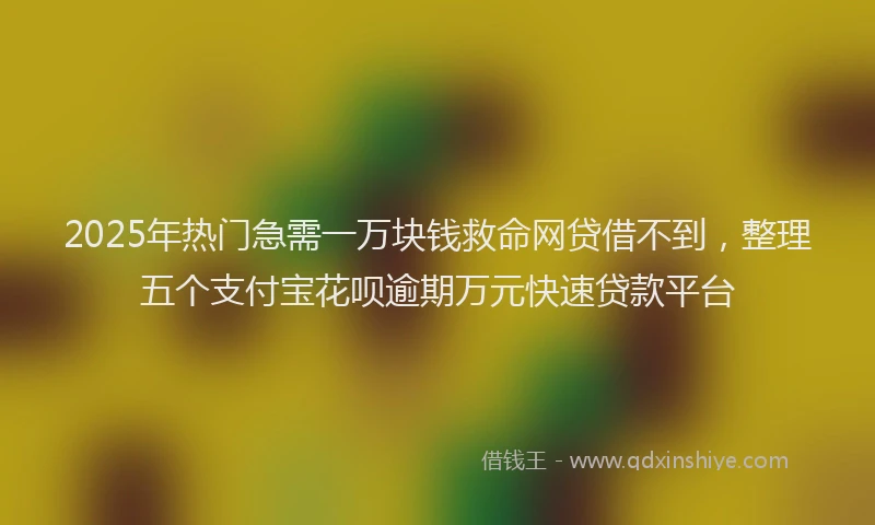 2025年热门急需一万块钱救命网贷借不到，整理五个支付宝花呗逾期万元快速贷款平台