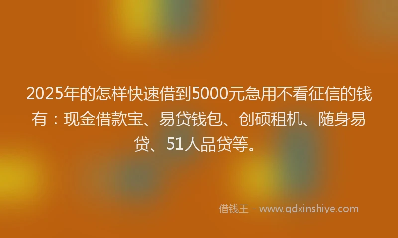 2025年的怎样快速借到5000元急用不看征信的钱有：现金借款宝、易贷钱包、创硕租机、随身易贷、51人品贷等。
