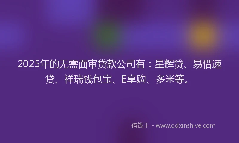 2025年的无需面审贷款公司有：星辉贷、易借速贷、祥瑞钱包宝、E享购、多米等。