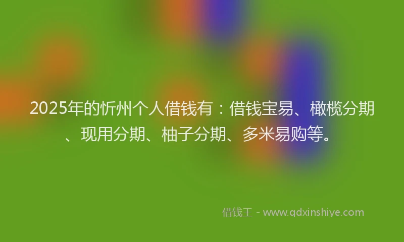 2025年的忻州个人借钱有：借钱宝易、橄榄分期、现用分期、柚子分期、多米易购等。