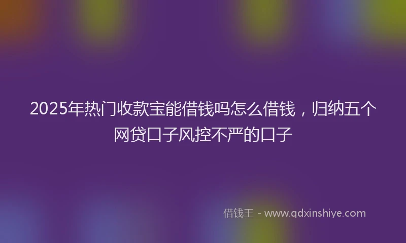 2025年热门收款宝能借钱吗怎么借钱，归纳五个网贷口子风控不严的口子