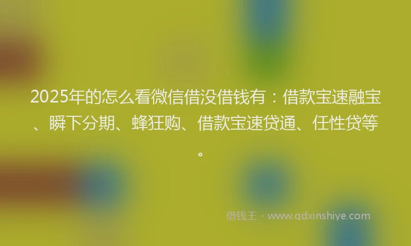 2025年的怎么看微信借没借钱有：借款宝速融宝、瞬下分期、蜂狂购、借款宝速贷通、任性贷等。