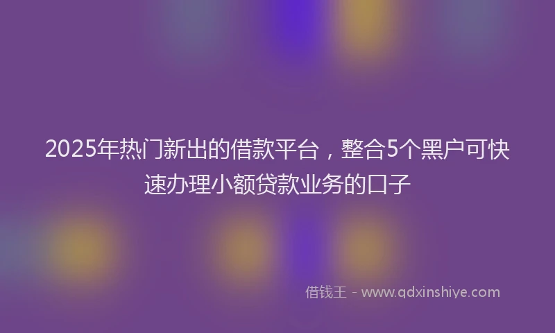 2025年热门新出的借款平台，整合5个黑户可快速办理小额贷款业务的口子