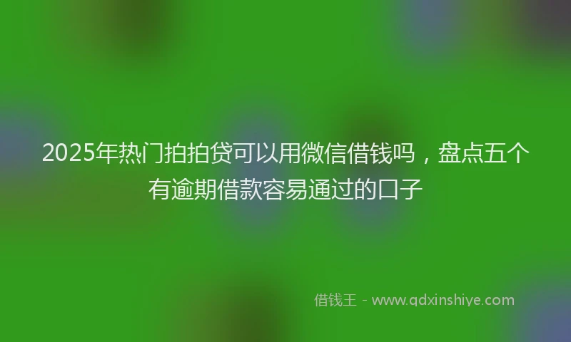 2025年热门拍拍贷可以用微信借钱吗，盘点五个有逾期借款容易通过的口子