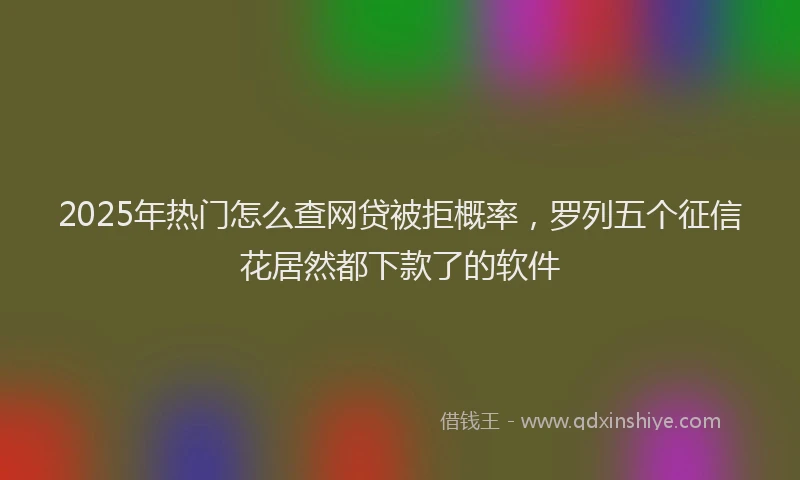 2025年热门怎么查网贷被拒概率，罗列五个征信花居然都下款了的软件