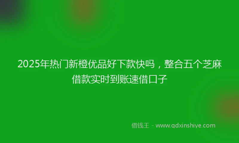 2025年热门新橙优品好下款快吗，整合五个芝麻借款实时到账速借口子